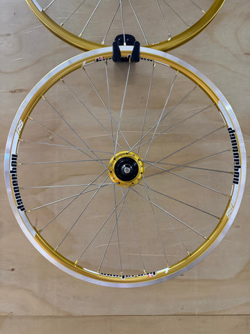 Mini 28h Dangerboy Wheelset Gold