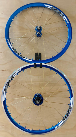 Expert 28h Dangerboy Wheelset Blue
