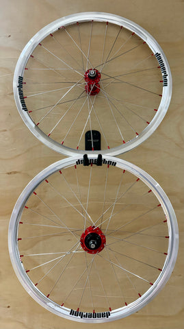 Expert 28h Dangerboy Wheelset Silver