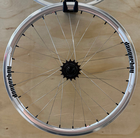 Expert 28h Dangerboy Wheelset Silver (Demo)